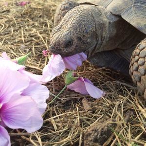 Meet your Posher, Carly